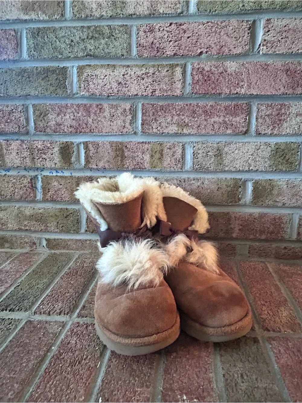 Chestnut Uggs